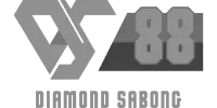 Interswitch logo